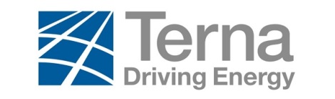 Terna logo